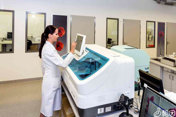 胚胎监测实验室