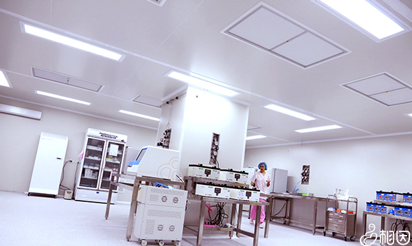 曼谷安全生殖中心实验室设备
