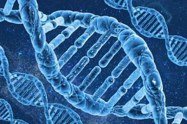单基因疾病能被三代试管诊断