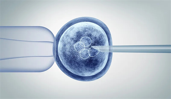 人工授精培育胚胎
