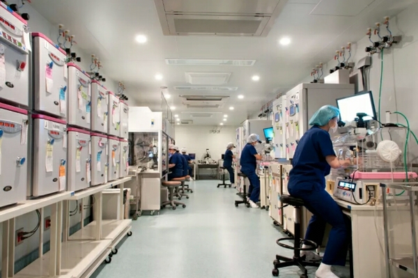 日本英医院试管婴儿成功率