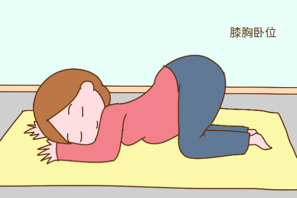 胸膝卧式是纠正胎位第一个动作