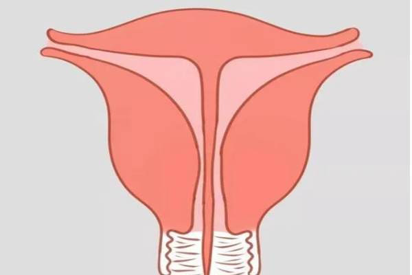 输卵管受损会导致不孕