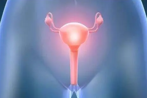 囊胚移植在试管技术中很重要
