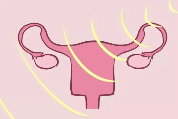 输卵管连接着卵巢和子宫