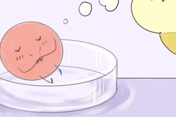 卵子透明带异常会导致不孕