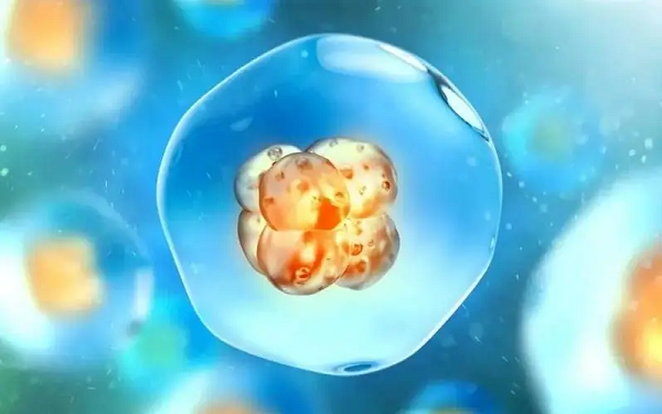 胚胎质量不好会影响hcg翻倍