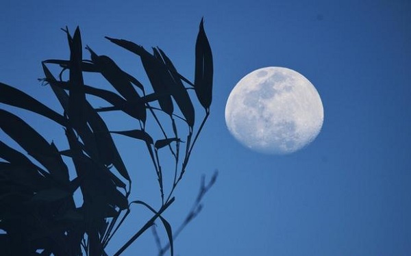 梦见高升的月亮要保持平和心态