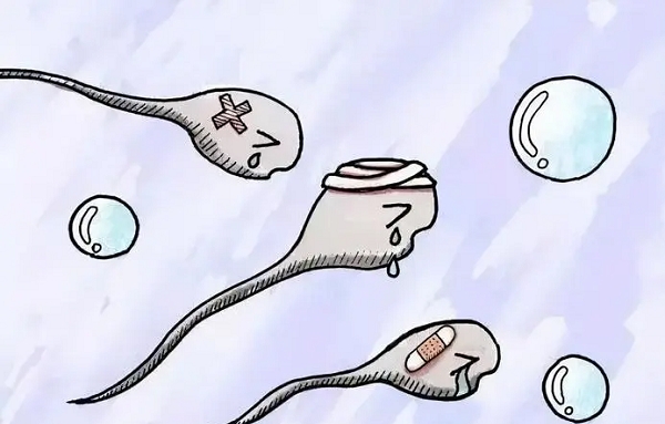 卵子质量下降会导致胚胎质量差