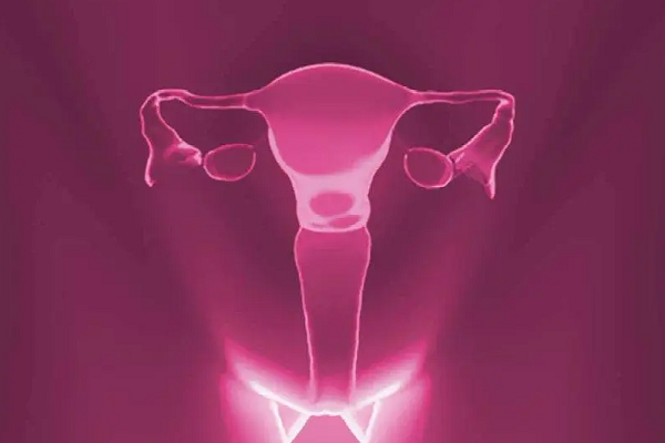 卵力素有助于女性的生殖能力