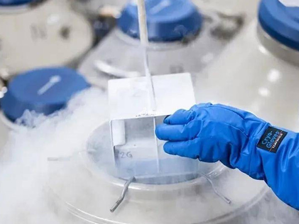 玻璃化冷冻卵子技术能提高卵子成活率