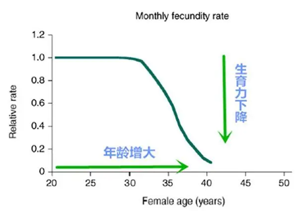 生育能力会随着女性年龄增大而降低