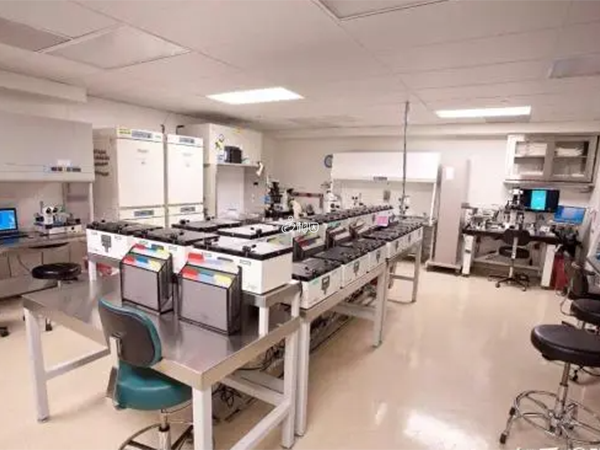 美国生命试管中心胚胎实验室