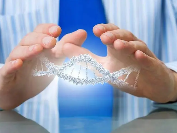 基因检测可以筛查囊胚的23对染色体