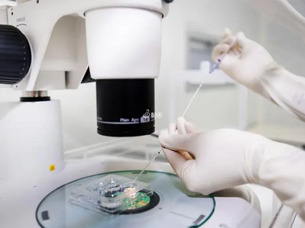 胚胎实验室环境如何可以判断出冷冻技术如何