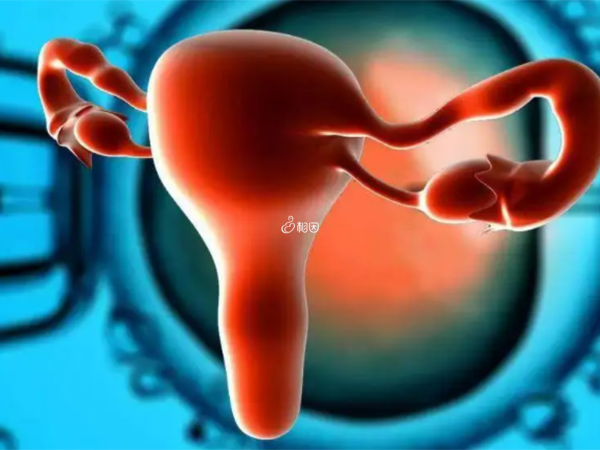 卵巢早衰影响女性生育能力