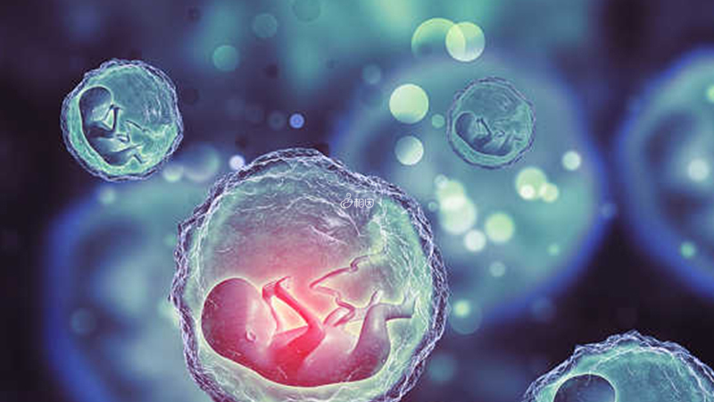 胚胎筛查后可能存在无男胚的情况