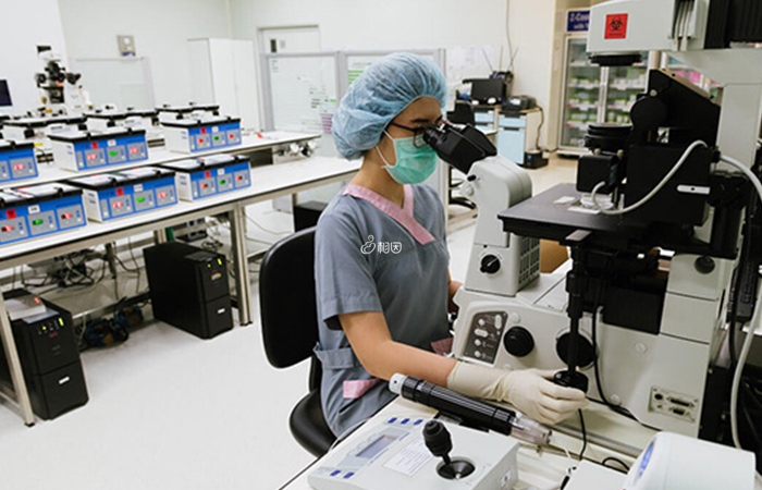 胚胎培养实验室
