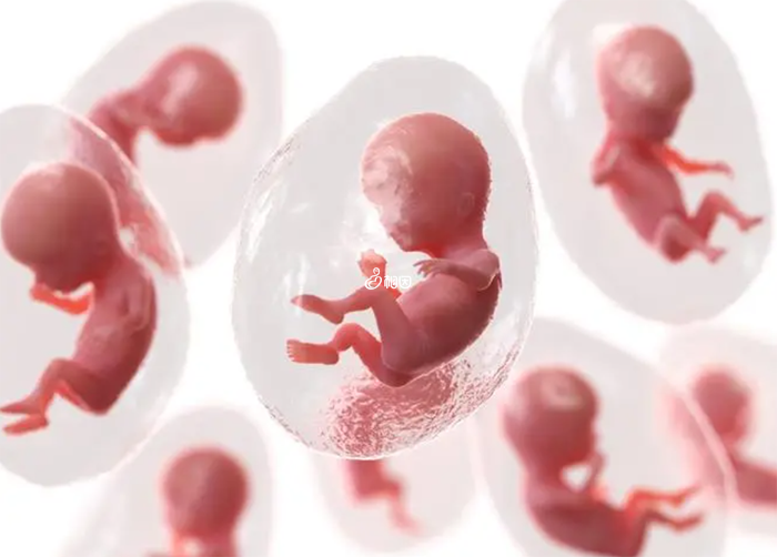 美国是承认第三方助孕合法最早的国家之一