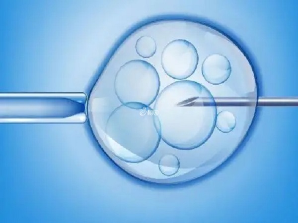 15mm的小卵泡受精能力弱无法配成胚胎