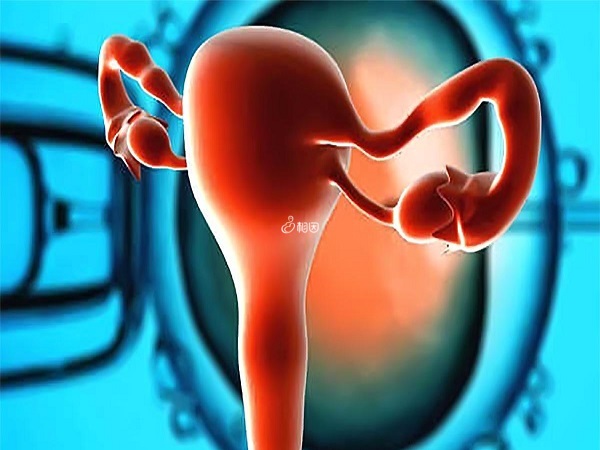 女性患有卵巢疾病会导致夜针后雌二醇大幅度下降