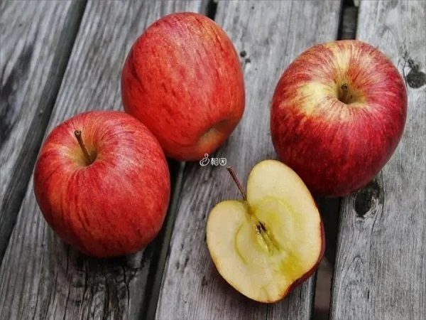 移植后适当吃苹果能促进胚胎着床
