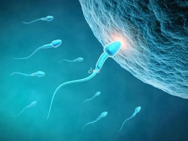 二代试管是用男方自己的精子