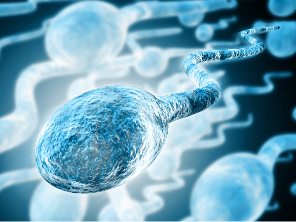 人类精子库的精子被划分为四个等级