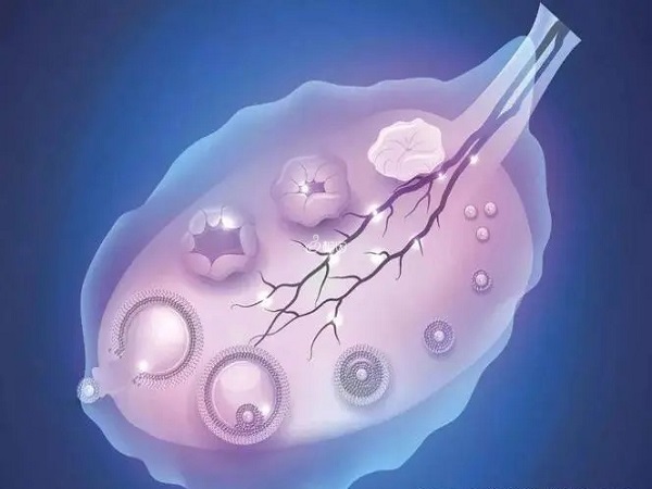 短方案取不到卵和患者的卵巢功能下降有关