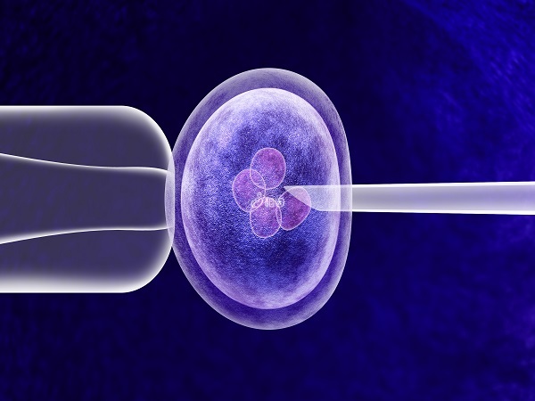 三代试管只放一个囊胚是为了避免多胎妊娠