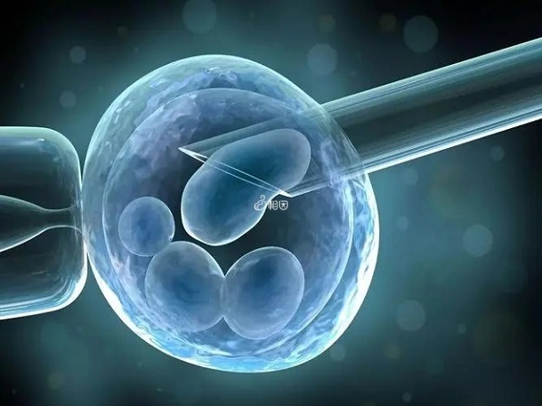 鲜胚移植并不是一定要放2个