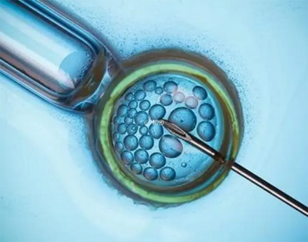 供卵试管怀孕后也会有激素刺激乳腺