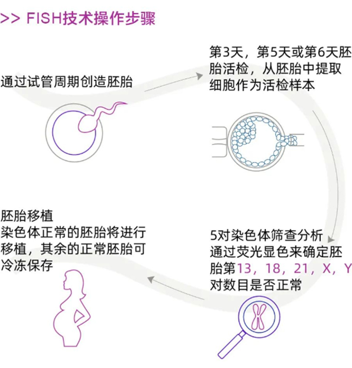 FISH技术操作的流程图