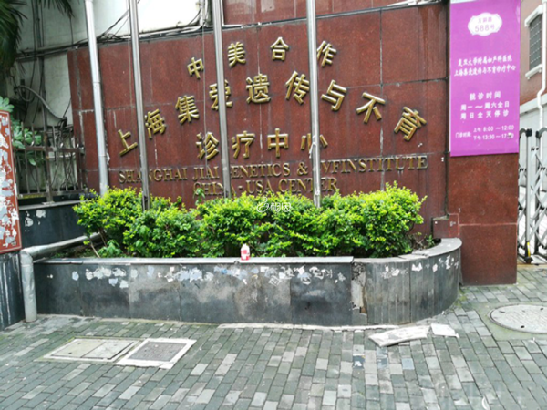 上海集爱助孕成功率均达50%以上