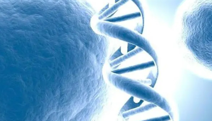 三代试管筛查胚胎染色体可提高着床率