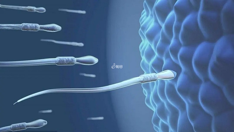 精子畸形100%可以向精子库捐精吗？
