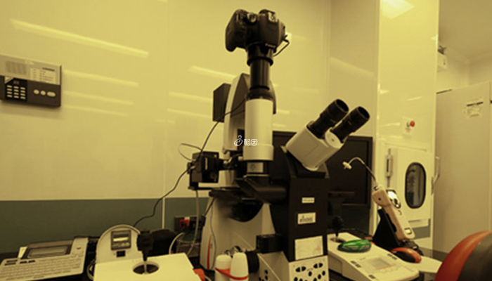 IMSI技术在高倍显微镜下操作