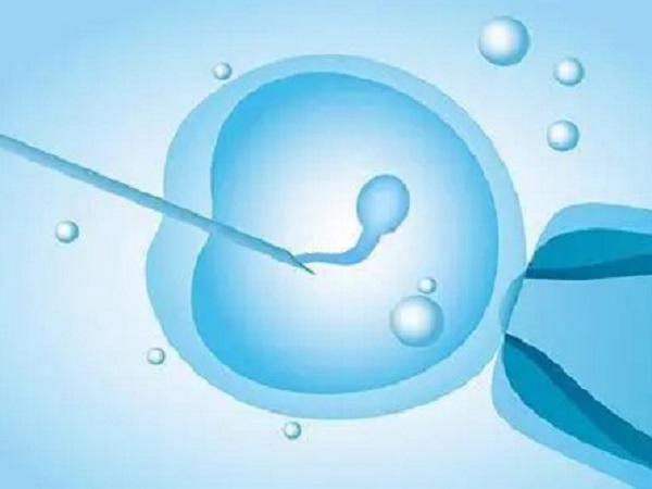 如果有水肿及蛋白尿等现象要警惕母体排异胚胎