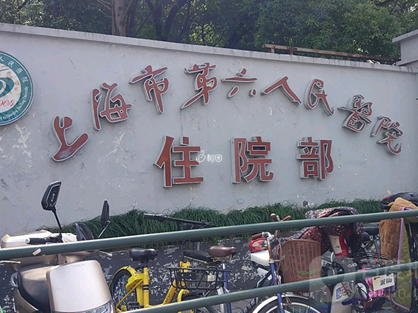上海六院可做供卵试管