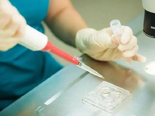 供卵试管婴儿要避免HIV病毒传染只能进行冻胚移植