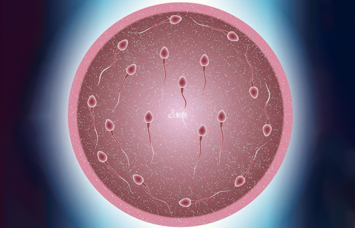 胚胎移植是受孕的关键性步骤
