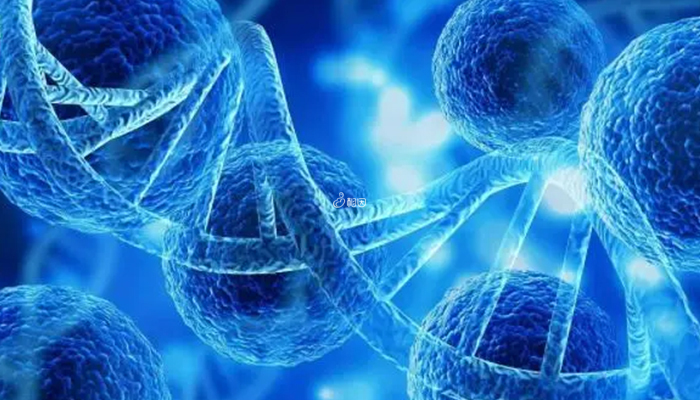 美国三代试管技术可筛查一百多种染色体病