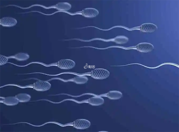 供精试管需要男方存在精子异常