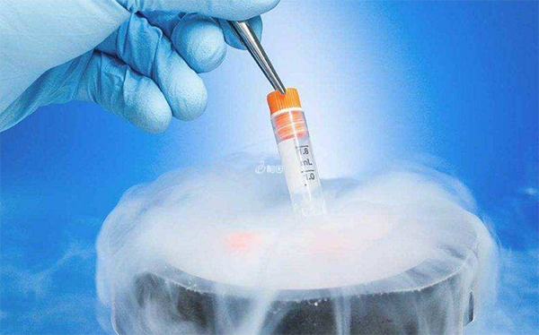 冻胚保存最长可达20年