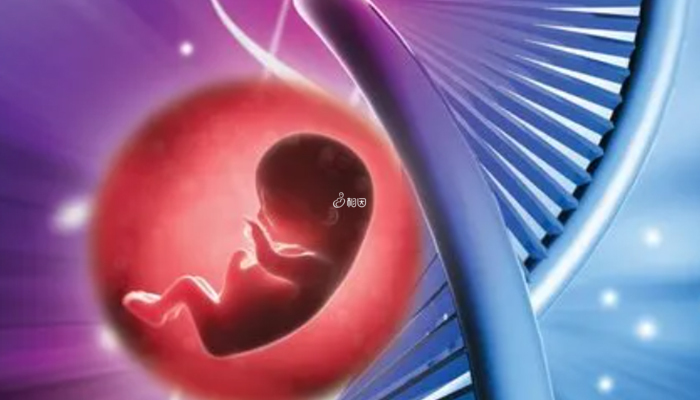 泰国三代试管技术可筛查胎儿性别