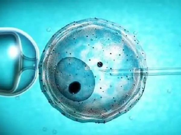 青岛妇女儿童医院一代试管婴儿胚胎移植价格一般在3到5万元左右