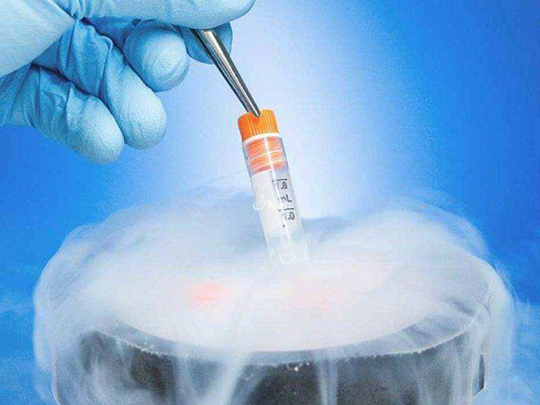 生殖科门诊可进行胚胎续费