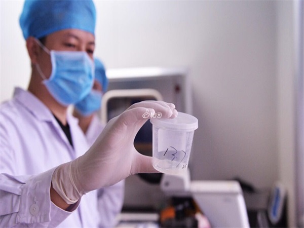 河南省生殖妇产医院不能做供精试管