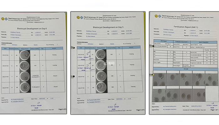 胚胎发育和筛查报告