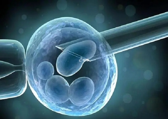 供卵试管能帮助卵巢早衰女性实现生育愿望